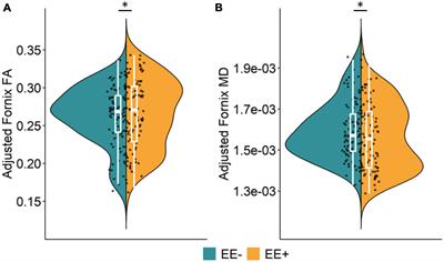 Long-term environmental enrichment is associated with better fornix microstructure in older adults